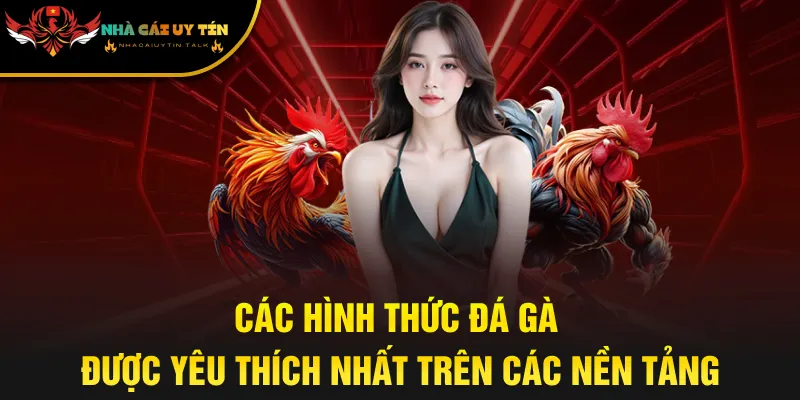 Các hình thức đá gà được yêu thích nhất trên các nền tảng