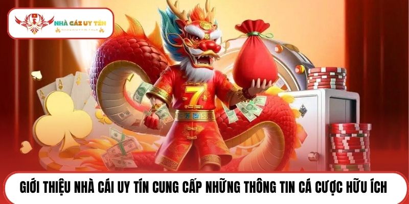 Giới thiệu Nhà cái uy tín cung cấp những thông tin cá cược hữu ích 